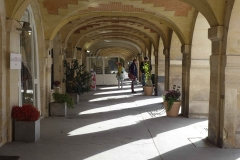 galerie place des vosges